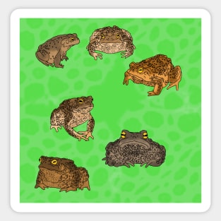 Toads Pattern Green Sticker